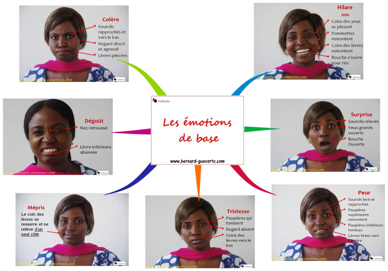 Comment reconnaître les sept émotions de base - Mind Mapping synthèse